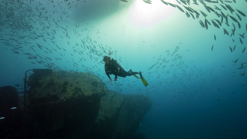 Oahu: Wreck & Reef Scuba Dive for Certified Divers - Sum Up