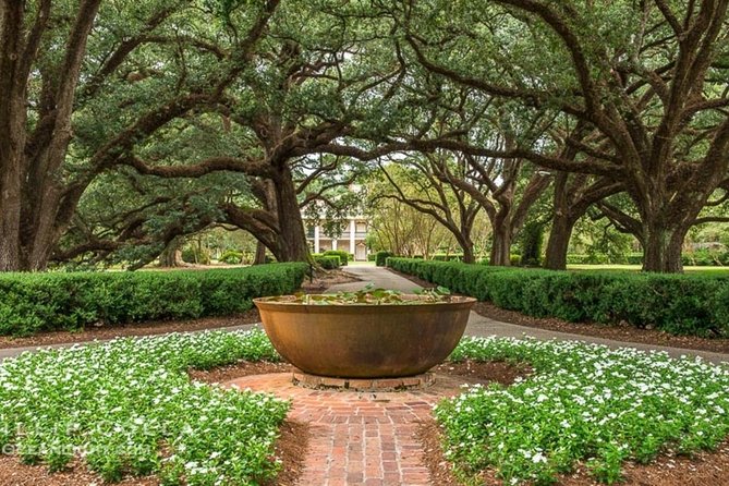 Oak Alley Plantation and Small Airboat Tour From New Orleans - Visitor Experiences and Reviews