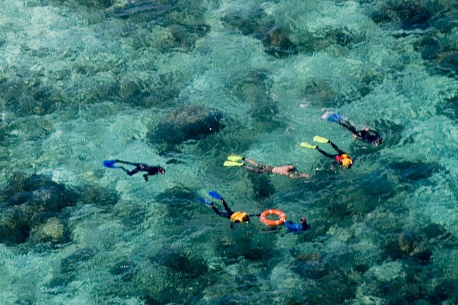 Ocean Freedom Great Barrier Reef Luxury Snorkel and Dive Cruise - Customer Reviews