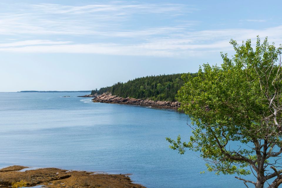 Ocean Path: Acadia Self-Guided Walking Audio Tour - Important Information