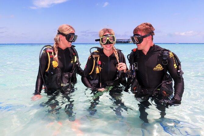 Ocean Spirit Sail to Michaelmas Cay Snorkel or Dive, From Cairns - Solo Travel Experience and Practical Information