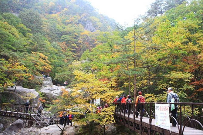 Odaesan National Park Hiking Day Tour: Explore Autumn Foliage Korea - Nature Photography Opportunities