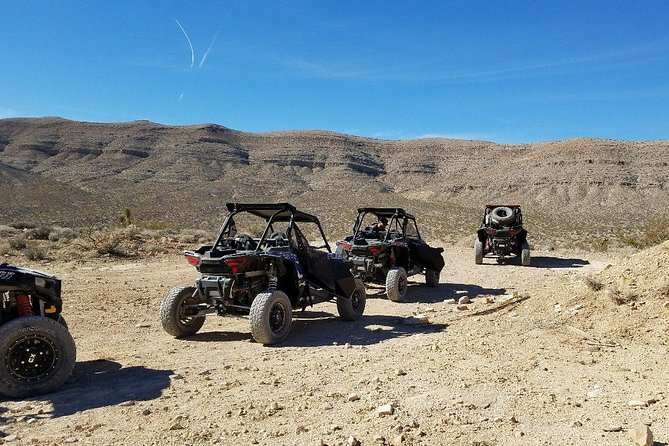 Off Road Mojave Desert Tour in Las Vegas - Sum Up