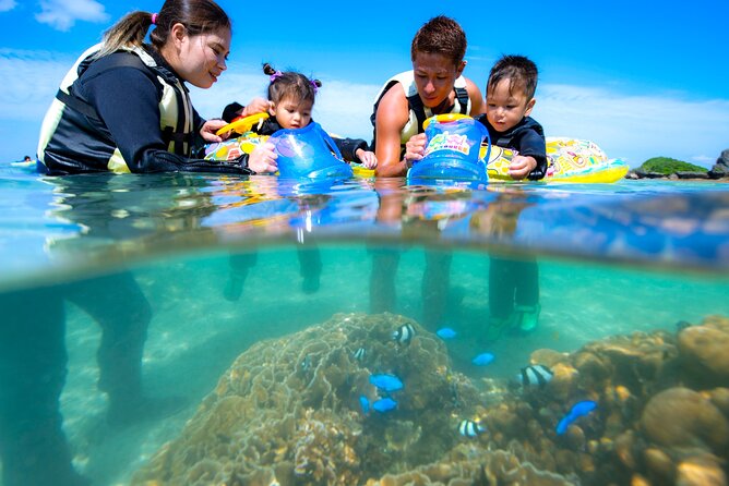 OK From 2 Years Old! / Sea Picnic & Snorkel - Additional Information