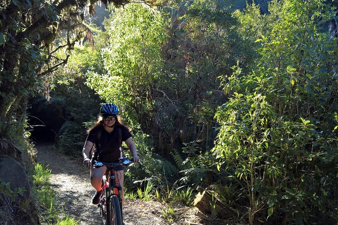 Old Coach Road Self-Guided Bike Tour From Ohakune - Safety and Logistics