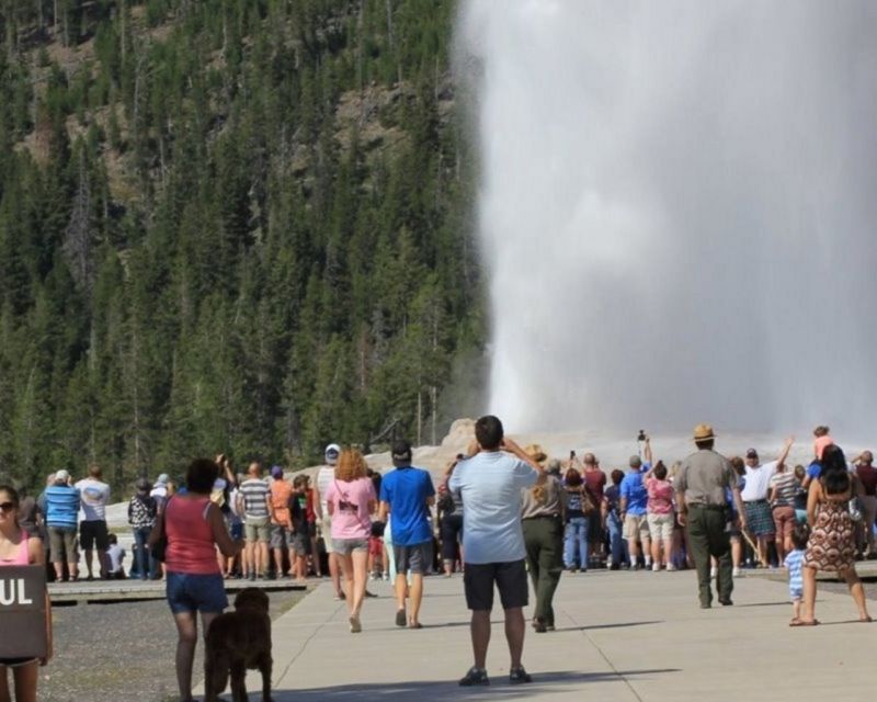 Old Faithful Lower Loop Tours - Booking Information