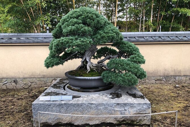 Omiya Bonsai Private Tour - Cancellation Policy