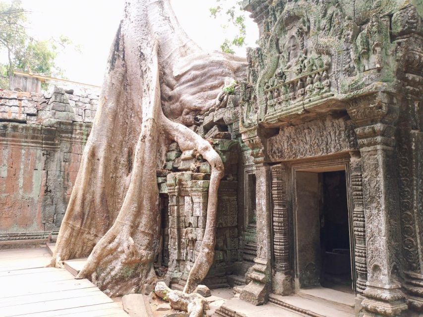 One Day Shared Trip to Angkor Temples With Sunset - Activity Details and Experience
