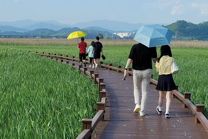 One Day Tour in Boseong Tea Plantation & Suncheon National Garden - Tea Tasting Experience