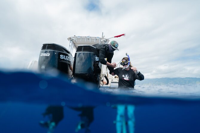 Open Water Shark Dive - Pricing Details