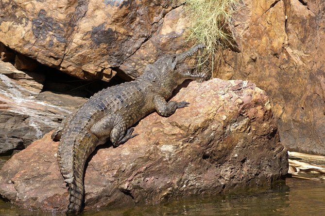 Ord River Cruise Experience With Riverside Lunch - Additional Details to Note