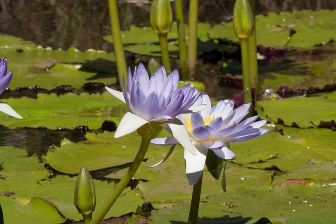 Ord River Explorer Cruise With Sunset - Pickup and Departure Details