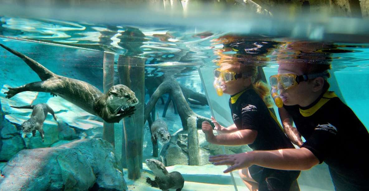Orlando: Discovery Cove Admission Ticket & Additional Parks - Additional Information