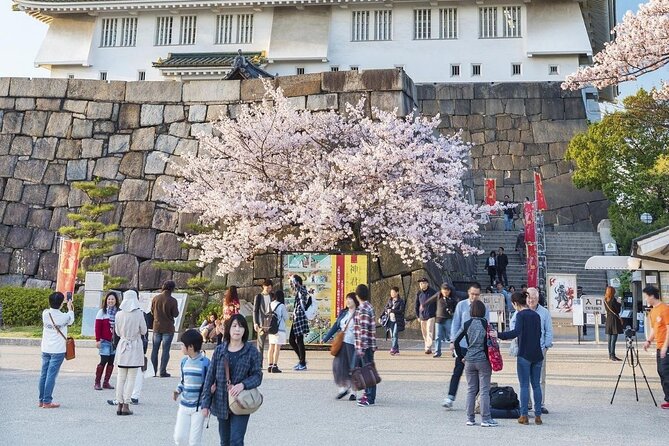 Osaka Cherry Blossom Tour With a Local: 100% Personalized Private - Meeting Logistics and Flexibility