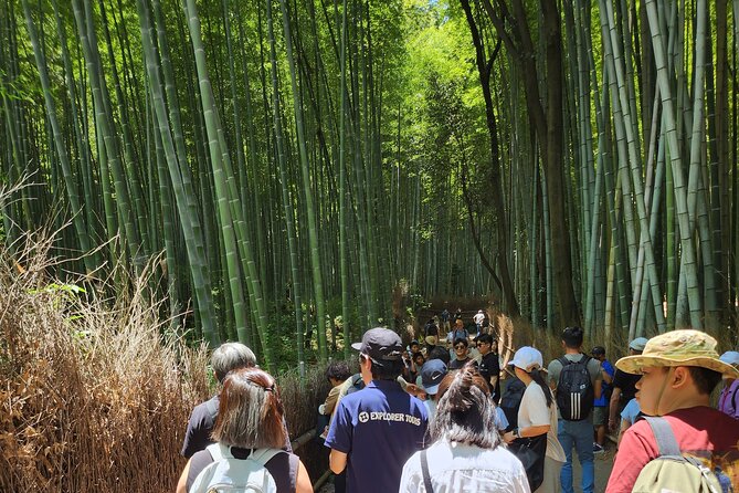 Osaka Dep, Arashiyama Ninnaji and Golden Pavilion Full Day Tour - Ninnaji Temple Visit