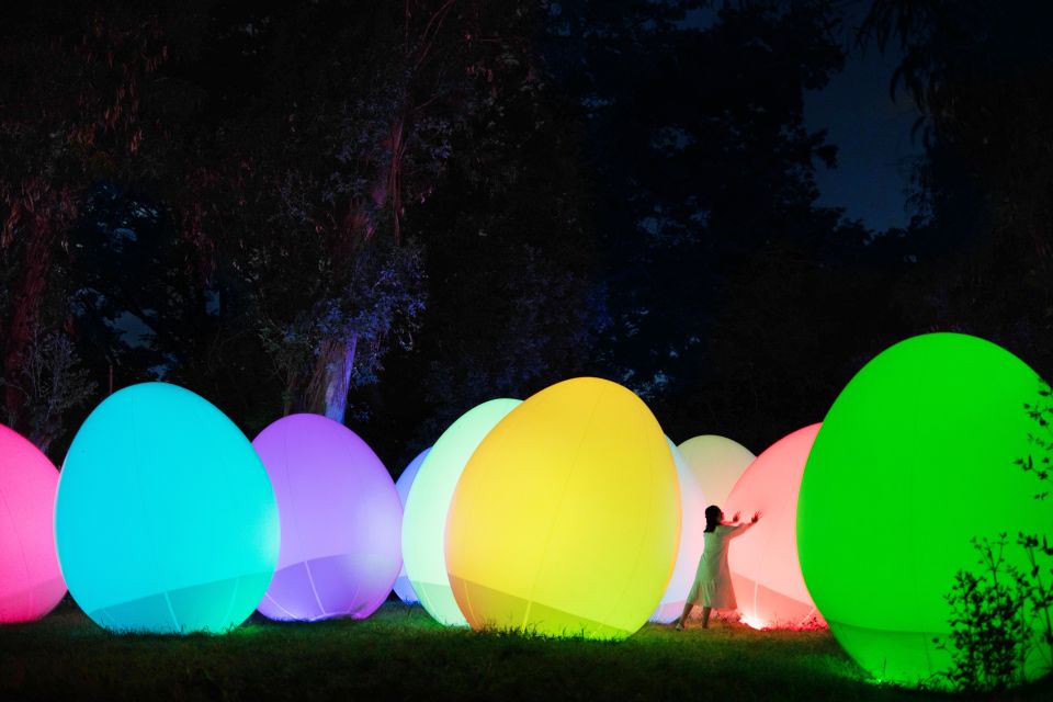 Osaka: Teamlab Botanical Garden Entry Ticket - Artwork Interactions