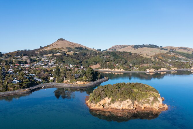 Otago Peninsula In-Depth Tour & Blue Penguins Pukekura Experience - Common questions