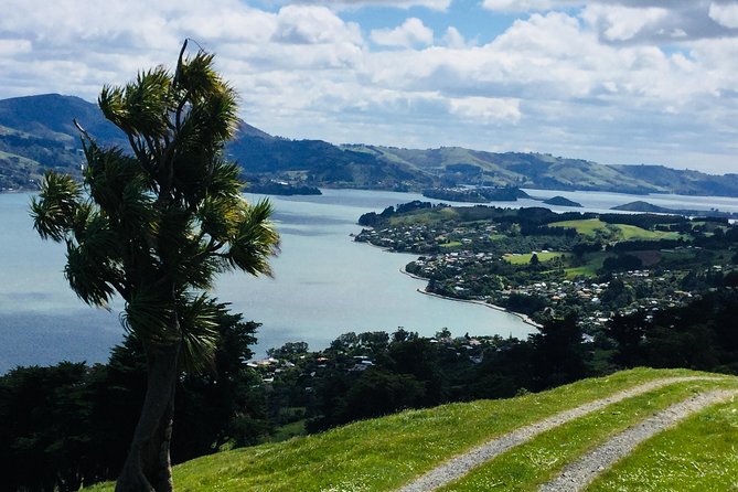 Otago Peninsula Scenery and Dunedin City Highlights Tour - Historical Landmarks