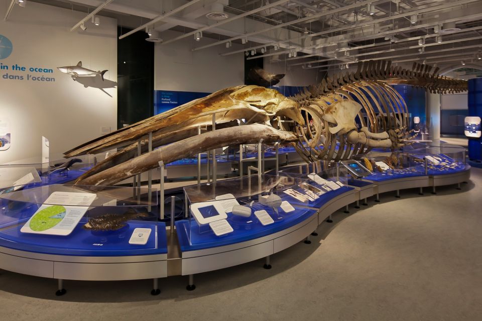 Ottawa: Canadian Museum of Nature Admission - Visitor Reviews