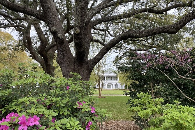 Outer Banks Film Locations Tour - Customer Reviews