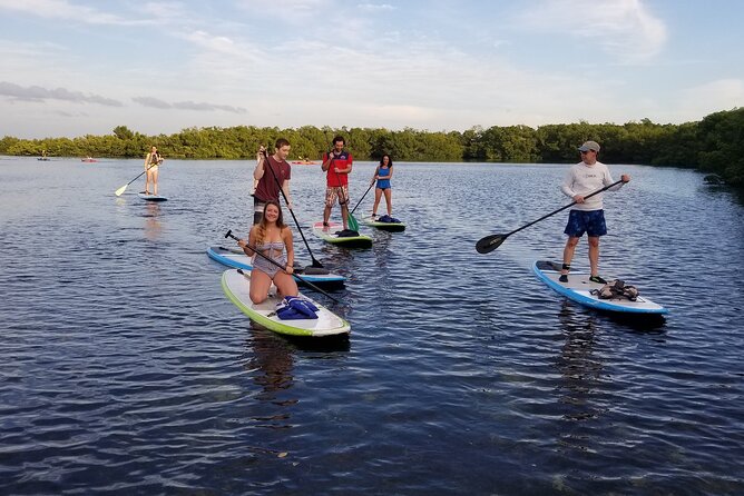 Paddleboard Tour Through Lido Mangrove Tunnels - Customer Reviews