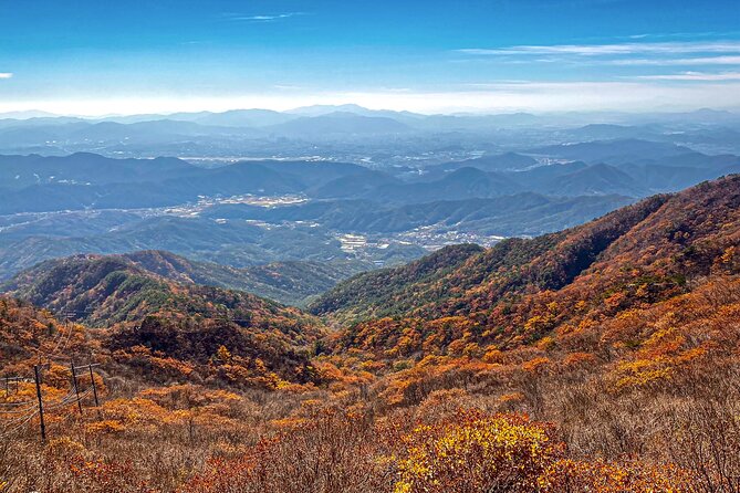 Palgongsan Natural Park Autumn Foliage One Day Tour From Busan - Common questions