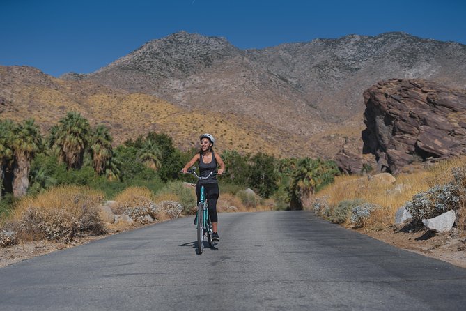 Palm Springs Indian Canyons Bike and Hike - Tour Reviews
