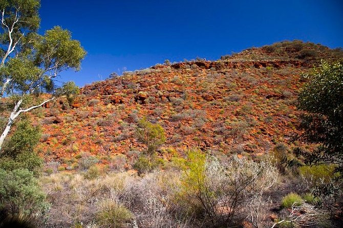 Palm Valley 4WD Tour From Alice Springs - Sum Up