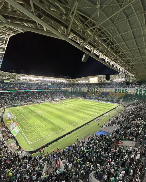 Palmeiras Game Experience in Allianz Parque - Allianz Parque Location Insights