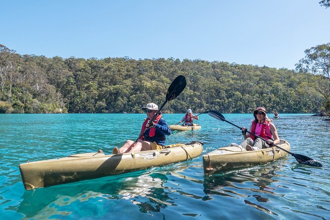 Pambula River Kayaking Tour - Traveler Requirements