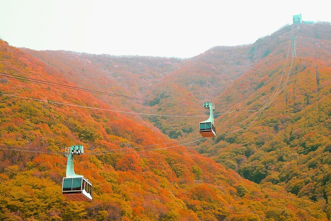 Panoramic Yeongnam Alps Gondola Autumn Foliage Tour From Busan - Common questions