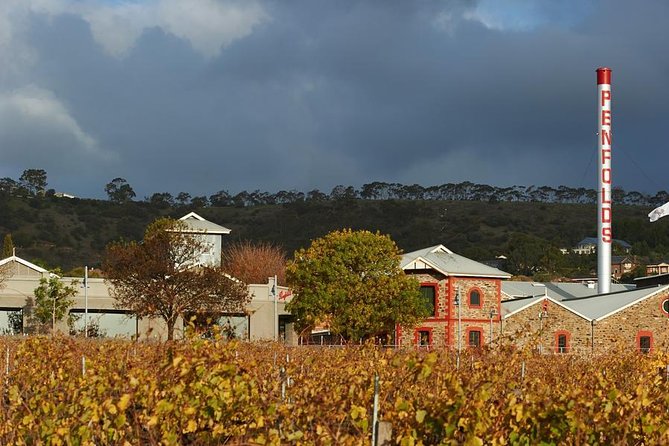 Penfolds Magill Estate Iconic Experience - Tips for Visitors