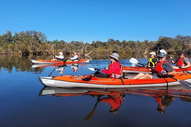 Perth Kayak Tour - Canning River Wetlands - Common questions