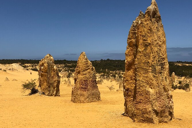 Perth to the Pinnacles: Private Full-Day Coastal Explorer Tour - Booking Information