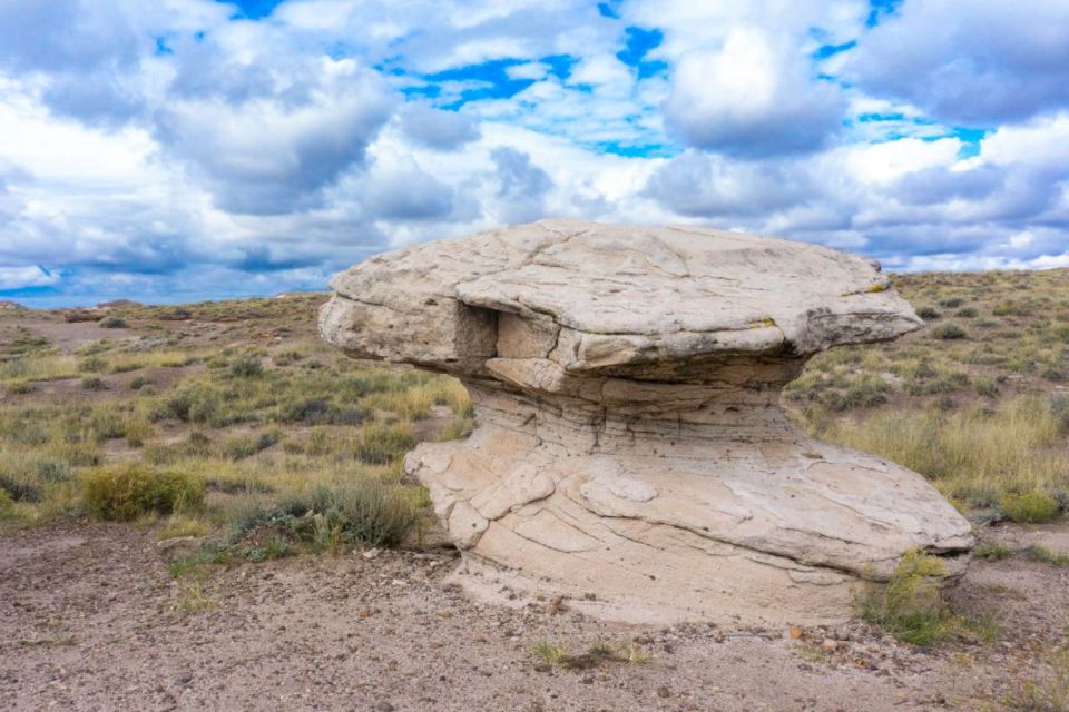 Petrified Forest National Park Self-Guided Audio Tour - Inclusions