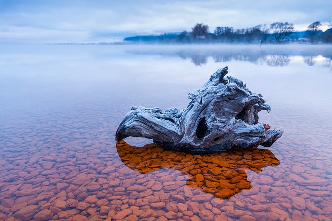 Photography Tour From Queenstown to Glenorchy - 1/2 Day - Trip Details