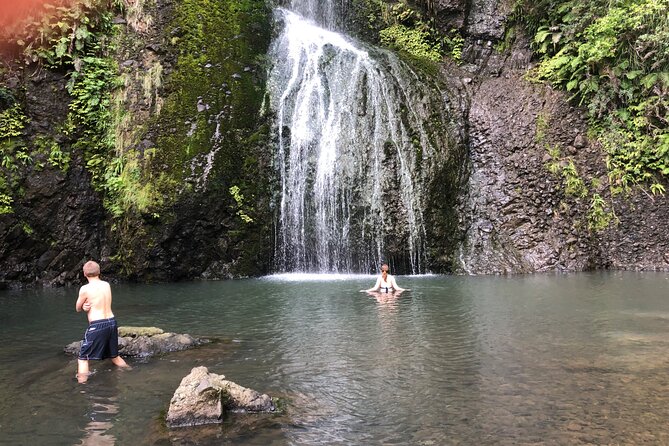 Piha Beach - Reviewer Insights