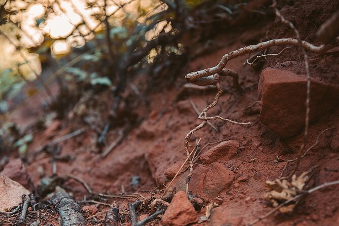 Pikes Peak COG Railway & Garden of Gods Tour - Tour Highlights and Guide Recognition