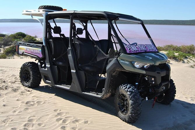 Pink Lake Small-Group Buggy Tour - Customer Reviews