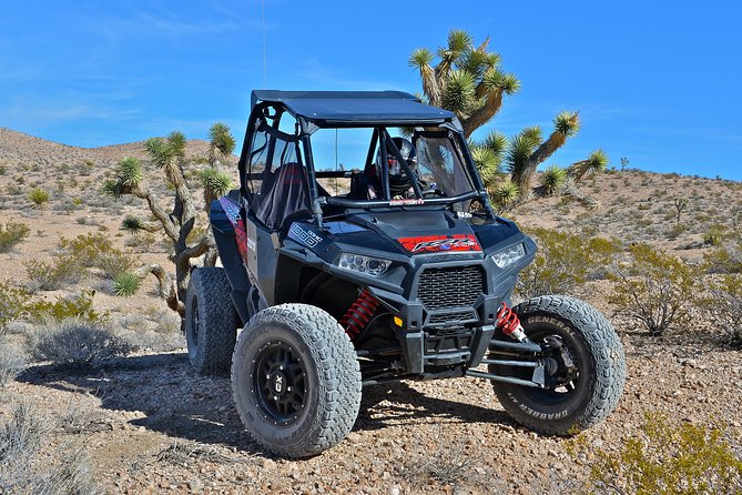 Pioneer Desert Adventure With Lunch at the Historic Pioneer Saloon! - Cancellation Policy