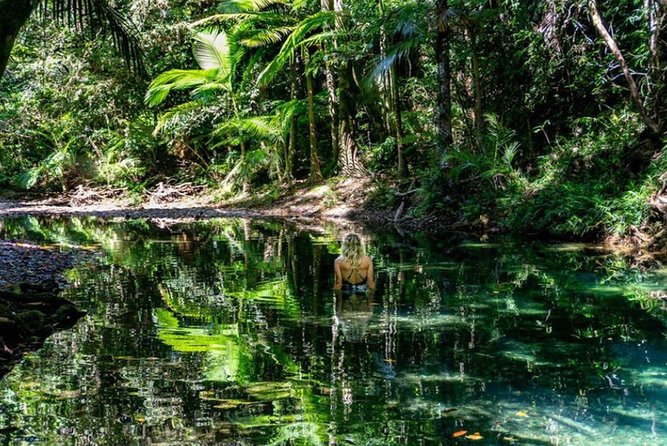 Port Douglas Daintree National Park Boutique Full-Day Tour - Accessibility Information