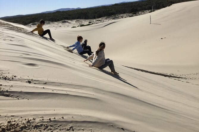 Port Stephens, Beach and Sand Dune 4WD Tag-Along Tour - Additional Information