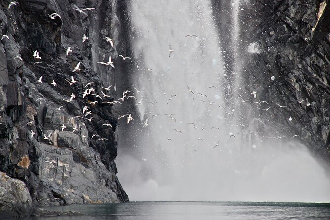 Prince William Sound Glacier Cruise  - Anchorage - Common questions