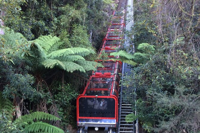 Private 1 Day Full Blue Mountains Tour Koalas Cruise Return - Weather and Attire Guidelines