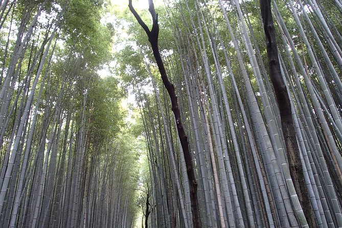 Private 1 Day Kyoto Tour Including Arashiyama Bamboo Grove and Golden Pavillion - Location Details