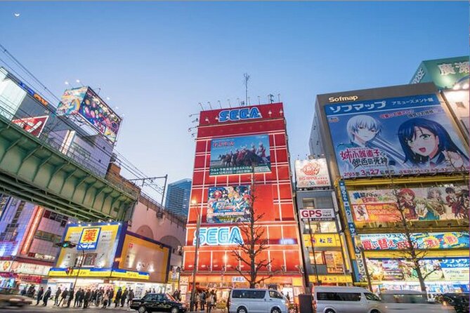 Private Akihabara Anime Guided Walking Tour - Tour Guide Information