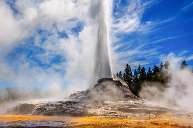 Private All-Day Tour of Yellowstone National Park - Satisfaction With Tour Experiences