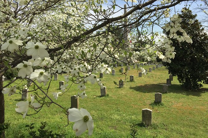 Private Atlanta History Tour From Civil War to Civil Rights - Sum Up