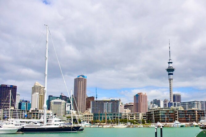 Private Auckland Best Top 7 Spots Day Trip With Lunch - Professional and Comfortable Transportation