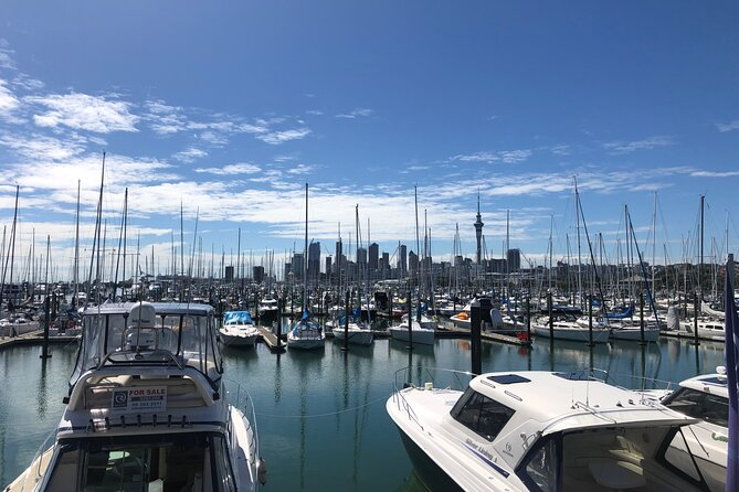 Private Auckland Half Day Tour - Booking Information